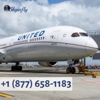 1 877 6581183 for United Airlines Flight Booking